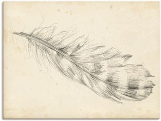 Artland Leinwandbild »Federskizze II« Arrangements 1 Stk. tlg. auf Keilrahmen gespannt