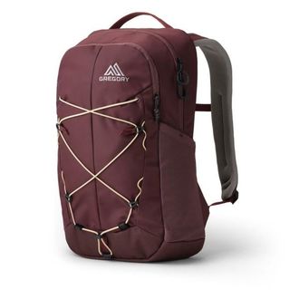 Gregory Terros 20 Daypack - Unisex | braun