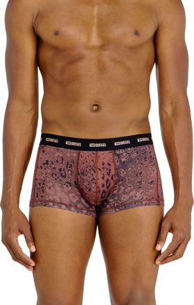 Diesel Three-pack of stretch cotton boxer briefs - Trunks - Man - Violet