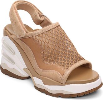 Ash Ceva Wedge