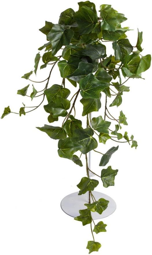 Botanic-Haus knstlicher Efeu Hngebusch, Kunstpflanze Englisch Efeu ca. 50  cm lang, Farbe: grn ab 8,95  - auf Stylight