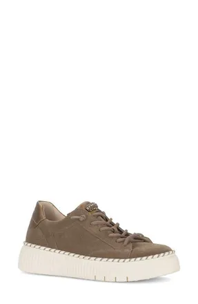 Gabor Platform Sneaker in Farro at Nordstrom, Size 6.5