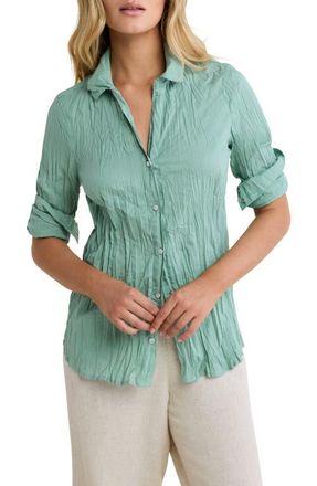 Nic+Zoe Core Cotton Long Sleeve Button-Up Shirt in Laurel at Nordstrom, Size Xx-Large