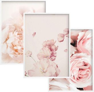 OEM Arte De Pared, P&oacute;steres De Pared, 30x40, Flores, Peon&iacute;as, Juego De Dormitorio