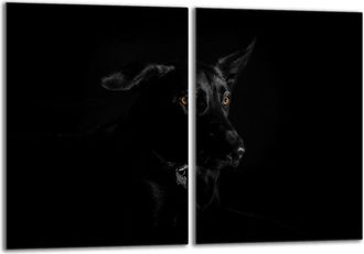 OEM Placa Protectora De Vidrio Para Estufa 2x40x52 Perro