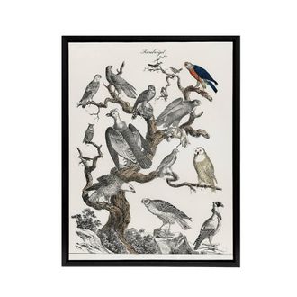 Artery8 Birds Eagle Hawk Owl on Tree Nature Black Framed Canvas Wall Art in White | Size: W24 x H32
