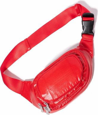 Baggallini On the Go Belt Bag Waist Pack