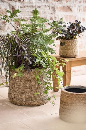Terrain Woven Seagrass + Fiber Taper Pot