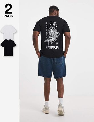 Jack & Jones Jack & Jones Fred T-Shirt 2 Pack