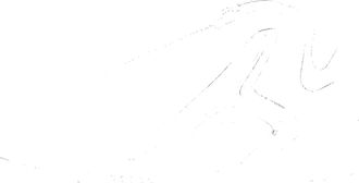 Nike Mens Zoom Hyperflight Shoes in Black | IR0962-001