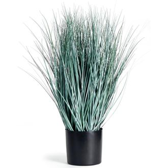 Napa Home & Garden Blue Oat Grass Drop-In 32 at Nordstrom