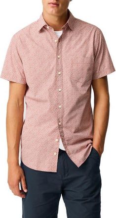Rodd & Gunn Collingwood Button-Up Cotton Shirt in Burnt Orange at Nordstrom, Size Xxx-Large