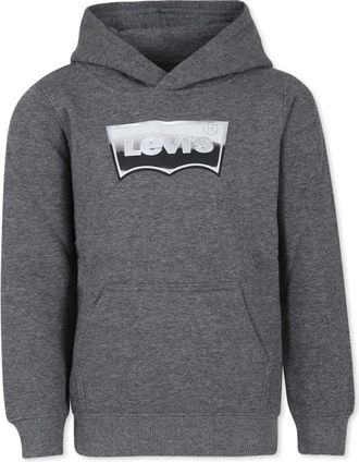 Levi's Kids Sweatshirts, male, Gray, 6 Y, Hoodie