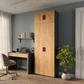 Vicco Estanter&iacute;a Para Carpetas Frank, Antracita/roble Dorado, 80 X 223.8 Cm Con Fijaci&oacute;n De Armario, Vicco