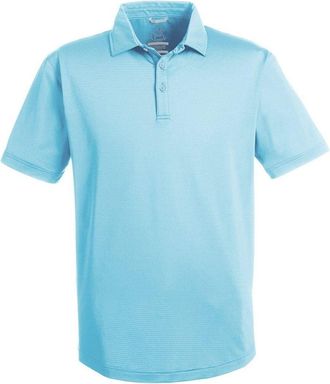 Swannies Ford Polo