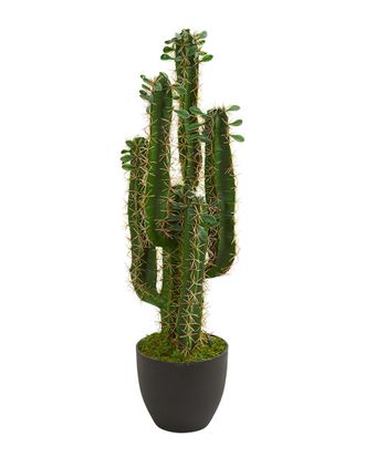 Nearly Natural 2.5Ft Cactus Artificial Plant