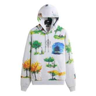 Kith x New Balance Watercolor Nelson Hoodie Light Heather Grey KHM030158-002