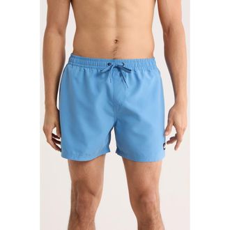 Quiksilver Everyday Volley 15-Inch Swim Trunks in Riviera at Nordstrom, Size Xx-Large