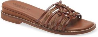 Cordani Hollace Leather & Raffia Slide Sandal in Cuoio Leather at Nordstrom, Size 8.5Us