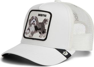 Goorin Brothers Bestie Patch Trucker Hat in Dust at Nordstrom