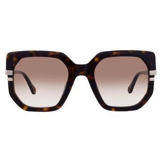 Chlo&eacute; Brown Butterfly Ladies Sunglasses CH0240S 002 53