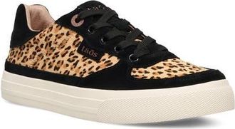Taos Pop Soul Sneaker in Cheetah/Black at Nordstrom, Size 9.5