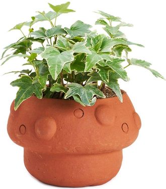 Matr Boomie Matr Boomie Rakshana Mushroom Plant Pot