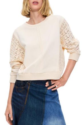 Desigual Open Knit Cotton Sweater in Off White at Nordstrom, Size X-Large