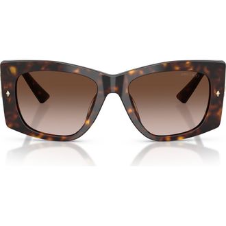 Jimmy Choo London 54mm Butterfly Sunglasses in Havana /Brown Gradient at Nordstrom