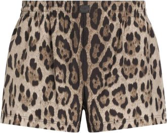 Dolce & Gabbana Leopard-Print Shorts - Mens - Polyamide/Polyester/Spandex/Elastane