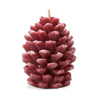 Tag Frosted Pine Cone Terracotta Candle Sculpted Design in Orange at Nordstrom