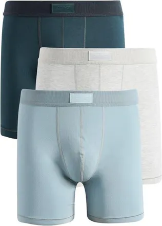 SKIMS 3-Pack 5-Inch Stretch Cotton & Modal Boxer Briefs in Verdant Multi at Nordstrom, Size X-Large