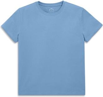 primary Womens Fit Easy Crewneck Tee in Vintage Blue at Nordstrom, Size Xx-Large