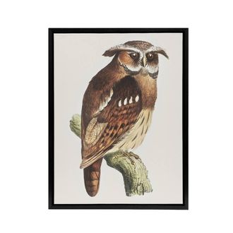Artery8 Eagle Owl Perched on a Branch Framed Canvas Wall Art Print van Hoytema in Brown | Size: W24 x H32