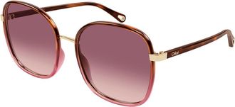 Chloé CH0031S 016 Womens Sunglasses Tortoiseshell Size 56
