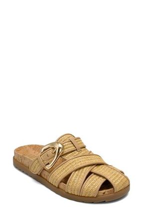 Aerosoles Liberty Woven Raffia Fisherman Mule in Natural Basket Raffia at Nordstrom, Size 9.5