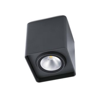 Netlighting Tami LED Outdoor Surface Mounted Ceiling Light Dark Grey IP54