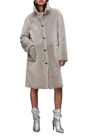 AllSaints Serra Genuine Shearling Coat in Pale Grey at Nordstrom, Size Small