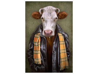 Schubiger M&ouml;bel Digitaldruck auf Glas Rind mit Lederjacke