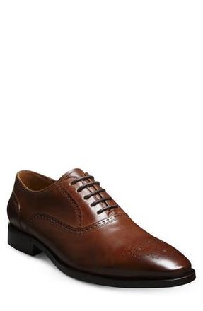 Allen Edmonds Siena Brogue Oxford in Chili at Nordstrom Rack, Size 8