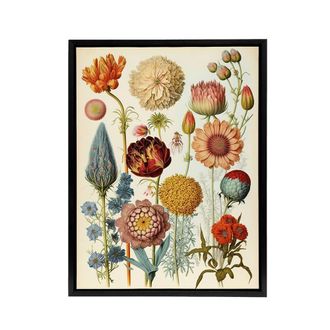 Artery8 Vintage Botanical Flowers Haeckel Inspired Framed Canvas Wall Art Print | Size: W24 x H32