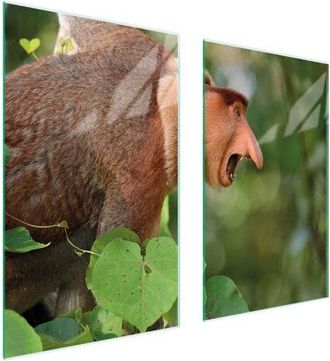 OEM Placa Protectora De Vidrio Para Estufa 75x52 Nosacz