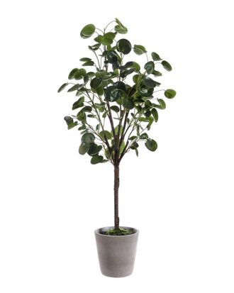 Safavieh Faux Polyscias Fruticosa Potted Tree