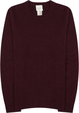 Alysi Merino Wool Cashmere Finely Knit Sweater