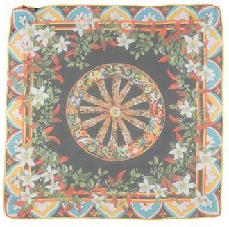 Dolce & Gabbana Scarves