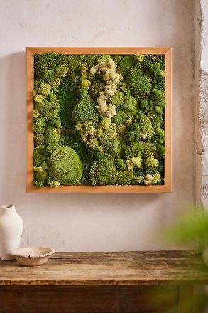 Terrain Old Growth Preserved Moss Frame