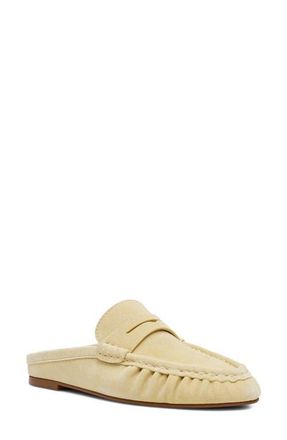 Steve Madden Rafe Loafer Mule in Butter Yellow Suede at Nordstrom, Size 8
