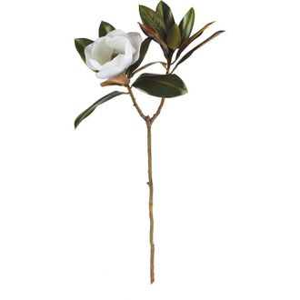 Napa Home & Garden Magnolia Artificial Stem 31 in White at Nordstrom