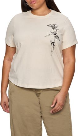 Sanctuary Timeless Dandelion Graphic Organic Cotton T-Shirt in Collagen White/Dandelion at Nordstrom, Size 1 X