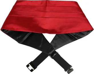 Dolce & Gabbana Accessoires, Heren, Rood, M, Ties